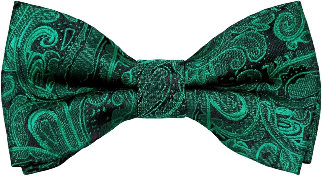Alizeal Boys Adjustable Fashion Paisley Floral Strapped Pre-tied Kids Bow Tie