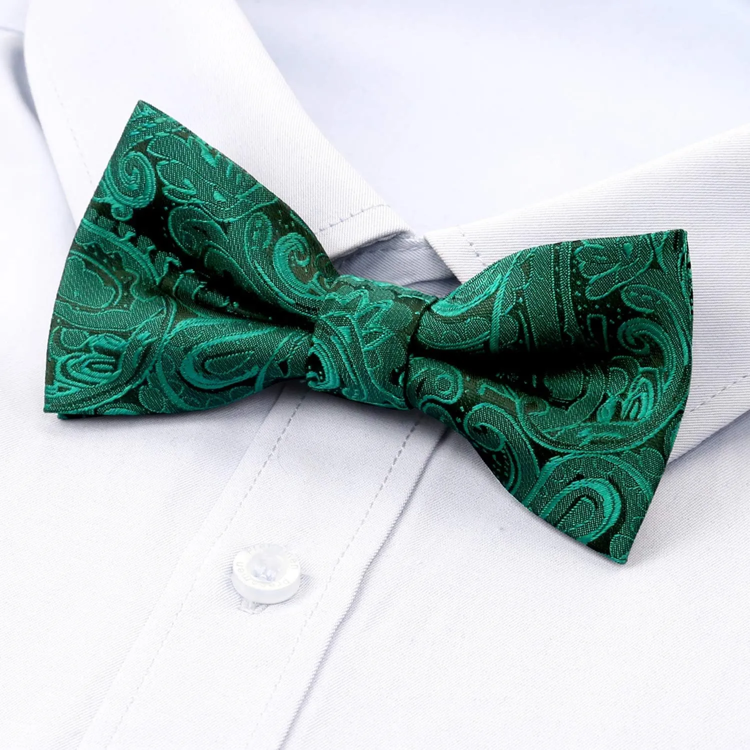 Alizeal Boys Adjustable Fashion Paisley Floral Strapped Pre-tied Kids Bow Tie