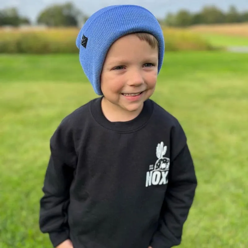 Cuff Knit Beanie: HEATHER BLUE