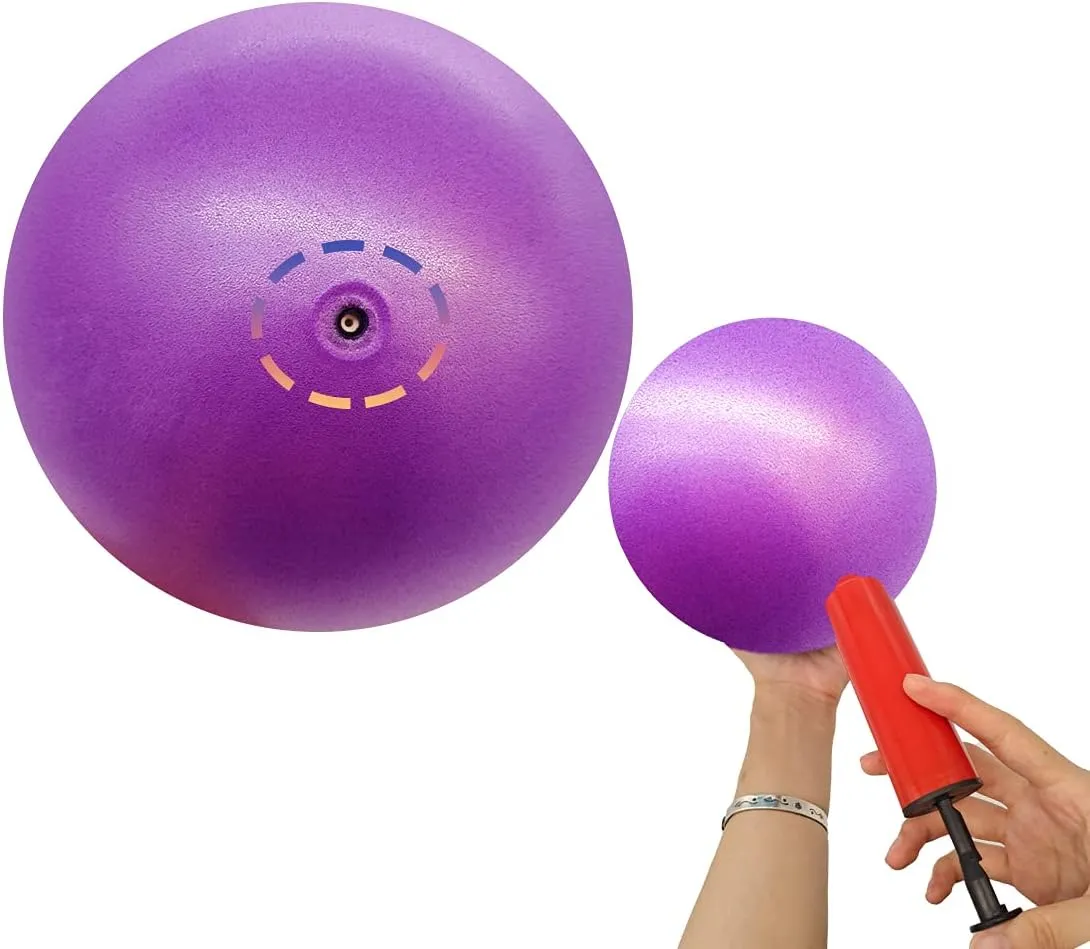 Mini Yoga Balls 6 Inch Exercise Pilates Therapy Balance Micropore Ball Barre Equipment for Home Stability Training Physical Core Training with Pump
