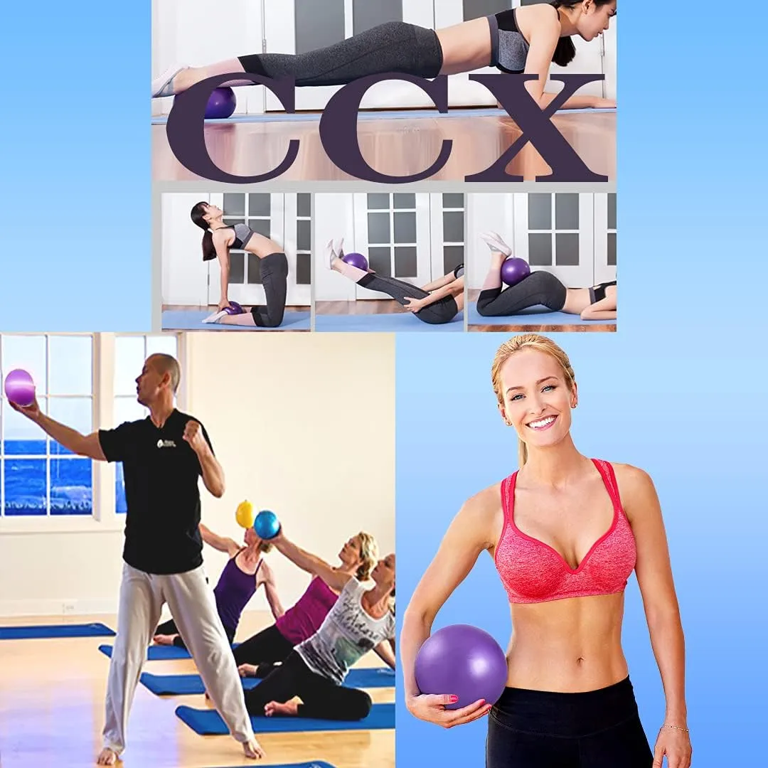 Mini Yoga Balls 6 Inch Exercise Pilates Therapy Balance Micropore Ball Barre Equipment for Home Stability Training Physical Core Training with Pump